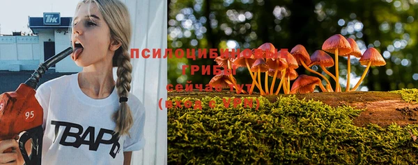 apvp Алексеевка
