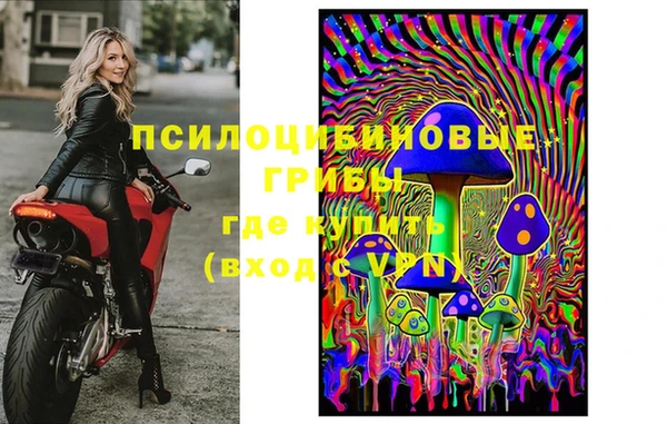 apvp Алексеевка